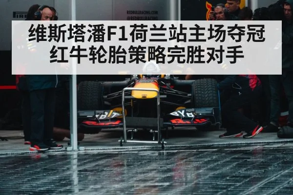 维斯塔潘F1荷兰站主场夺冠 红牛轮胎策略完胜对手